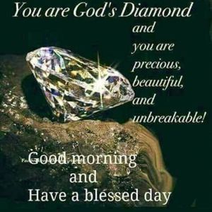 Meet your Posher, Weida